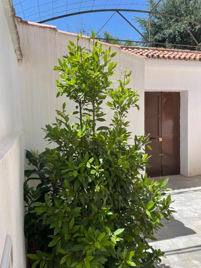 La Casita De San Nicolas Granada Dış mekan fotoğraf